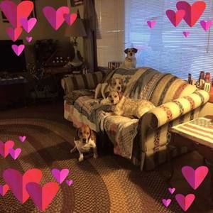 Meet your Posher, Sue